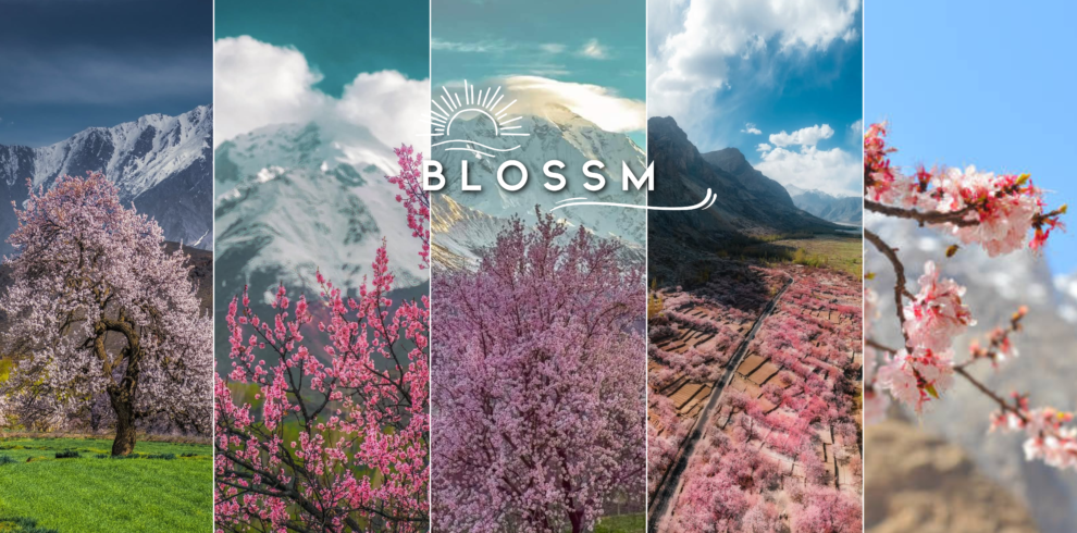 Stylish Aesthetic Summer Photo Collage Banner